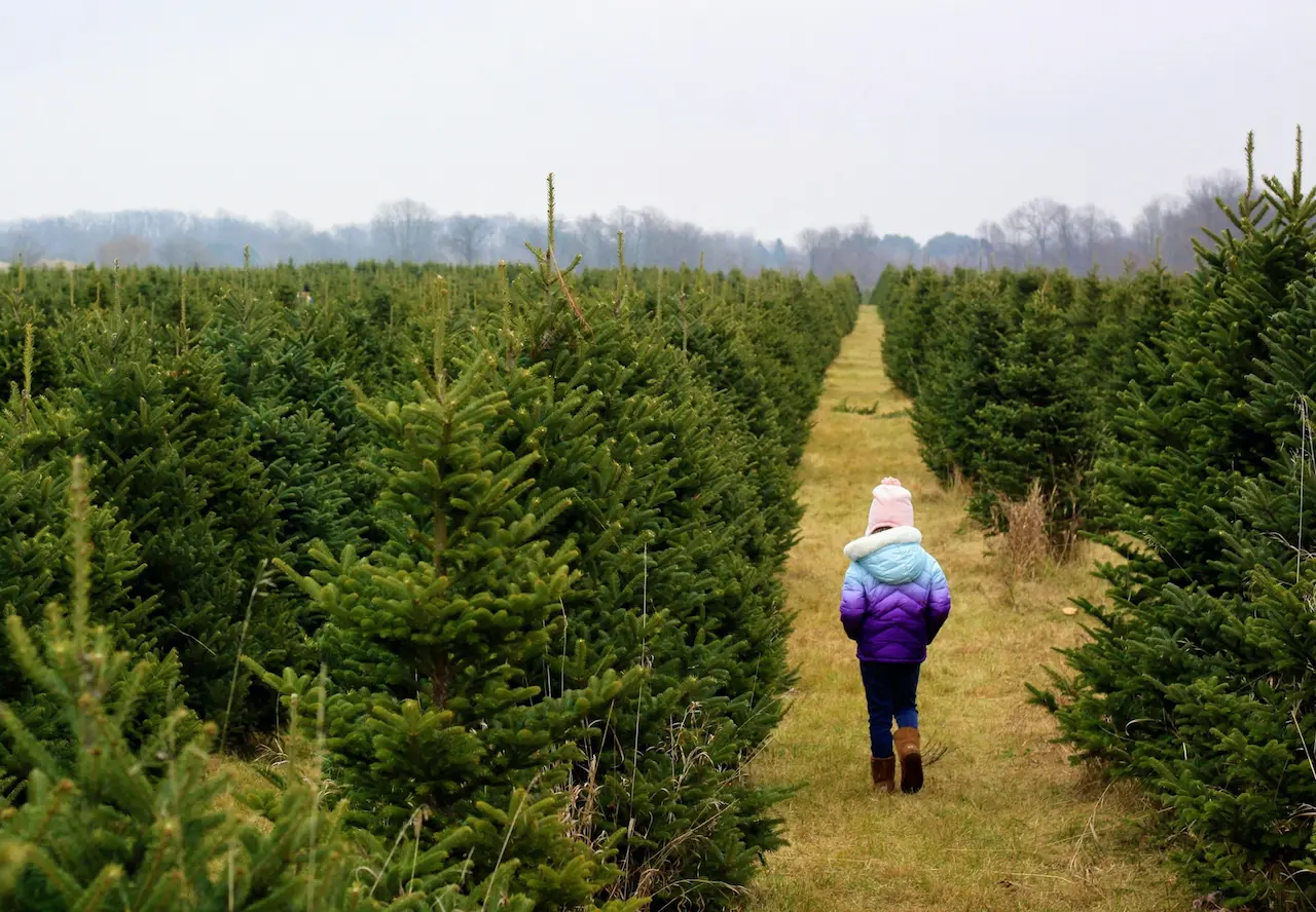 Sloan's Christmas Village - Christmas Tree Farm